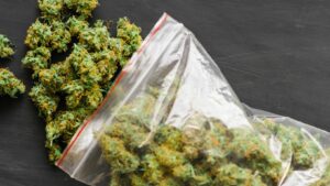 Cannabis Access with Weed Delivery in Washington