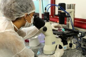 What You Should Know About ER Stress Inducer Tunicamycin