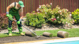 How Professional Sod Installation Can Instantly Upgrade Your Yard