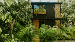 Leading Eco-Friendly Upgrades for Your Backyard