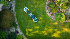 How to Design a Low-Maintenance Yard That Practically Takes Care of Itself