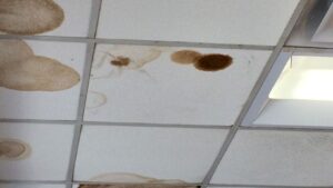 Why Ceiling Stains Continue to Spread After a Roof Leak