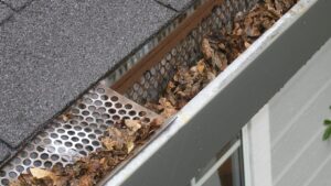 Smart Ways to Improve Rainwater Flow Around Your Property