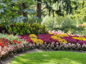 Key Landscape Projects That Offer the Finest ROI