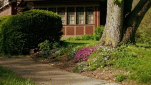 Common Landscaping Mistakes That Cost You More in the Long Run